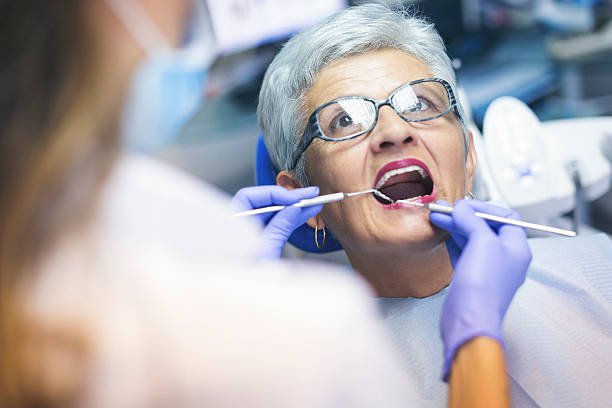 Professional Holistic Dental Care Services in Bret Harte, CA